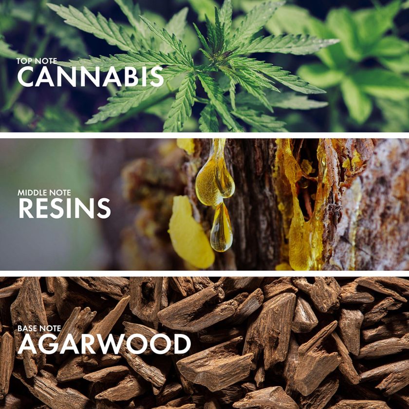 Ambery Tobacco - Image 4