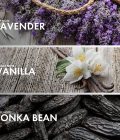 Aromatic Almond - Image 4