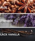 Aromatic Fougere - Image 4