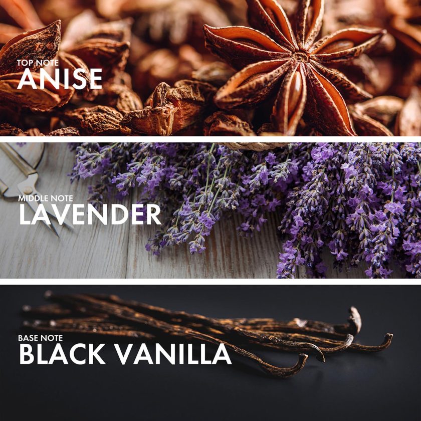 Aromatic Fougere - Image 4
