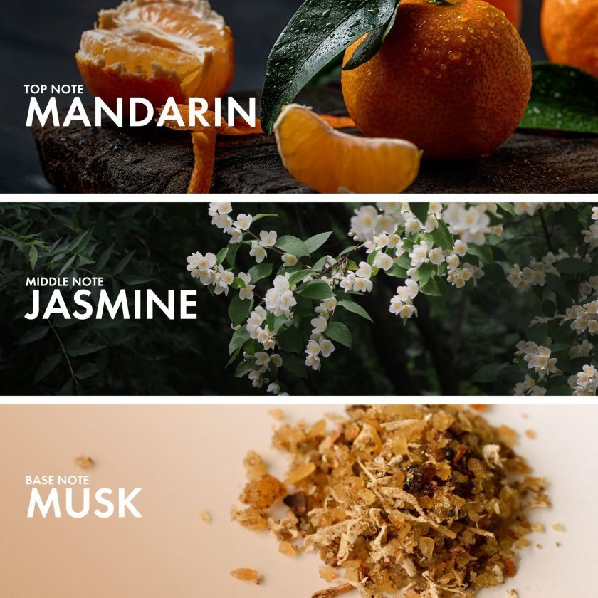 Aromatic Orange - Image 4