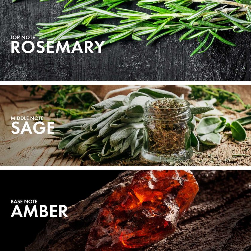 Aromatic Rosemary - Image 4