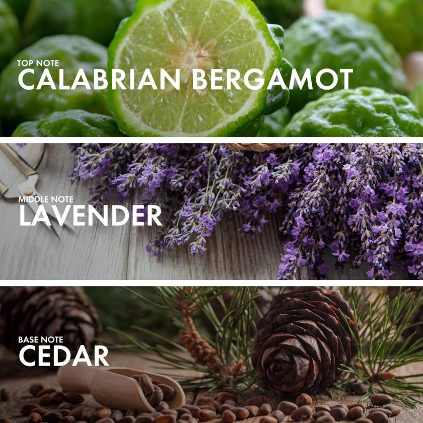 Bergamot Pepper - Image 4