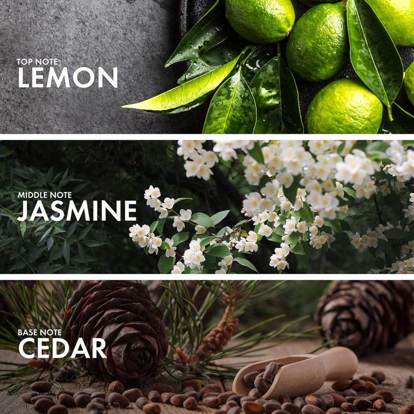 Citrus Bergamot - Image 4