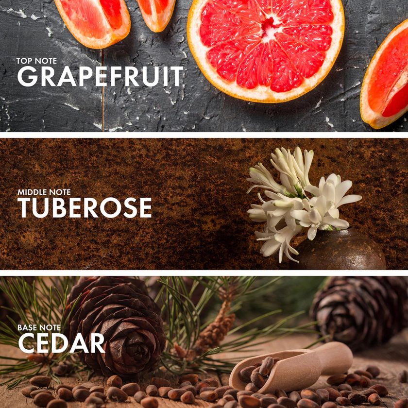 Citrus Grapefruit - Image 4