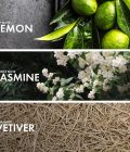⁦سيتروس بيبر⁩ - الصورة ⁦4⁩