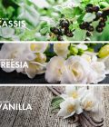 Floral Cassis - Image 4