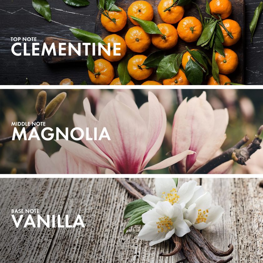 Floral Clementine - Image 4