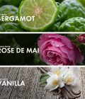 Floriental Bergamot - Image 4