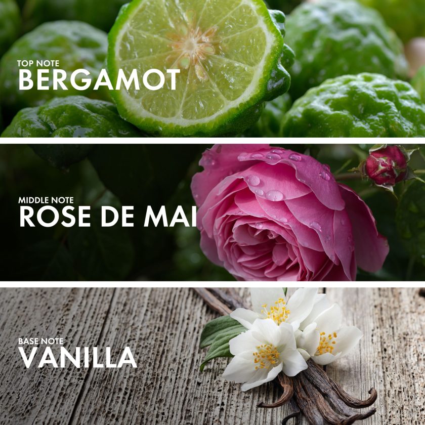 Floriental Bergamot - Image 4