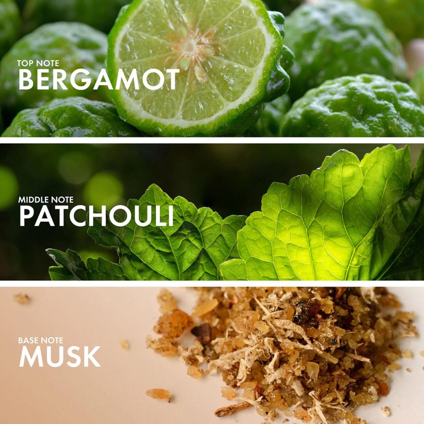 Fruity Bergamot - Image 4
