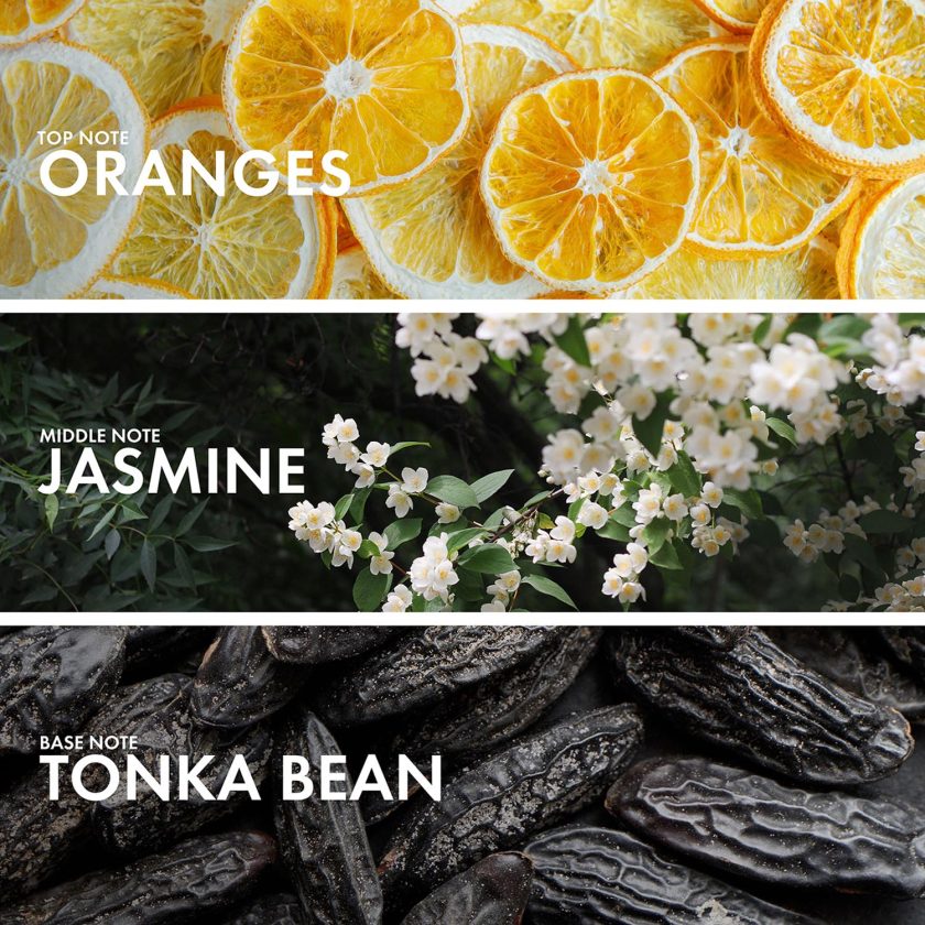 Musky Bergamot - Image 4
