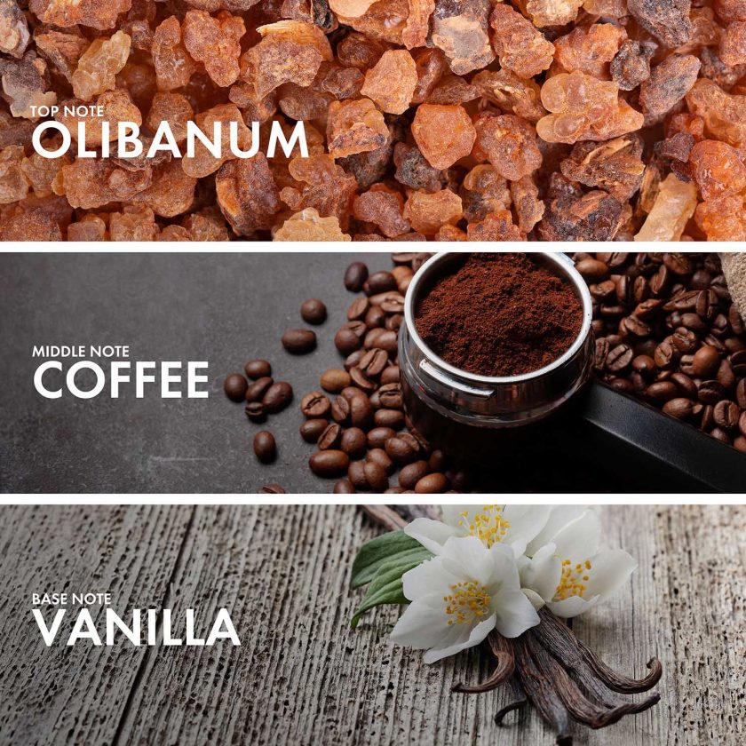 Olibanum Vanilla - Image 4