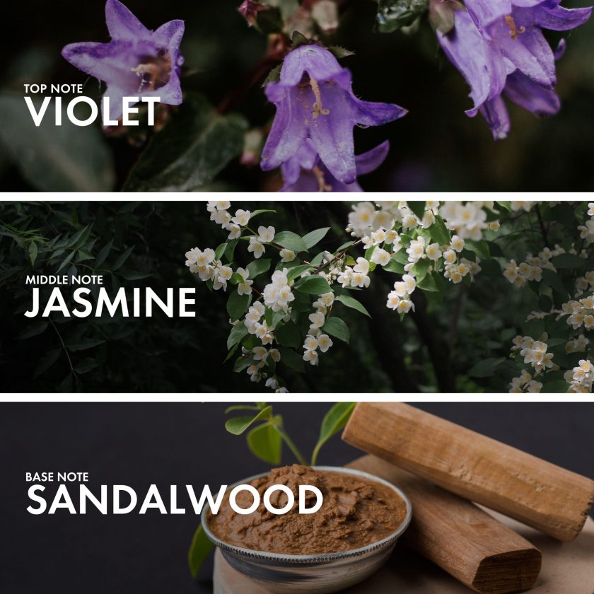 Powdery Violet - Image 4