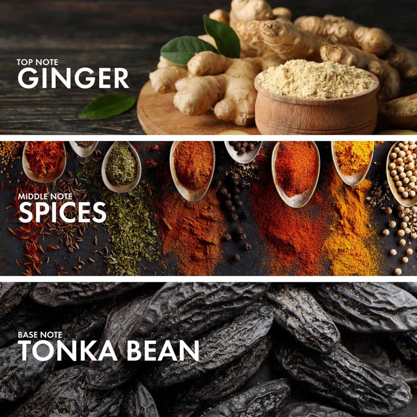 Spicy Ginger - Image 4