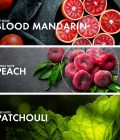 ⁦سويتي هوني⁩ - الصورة ⁦4⁩