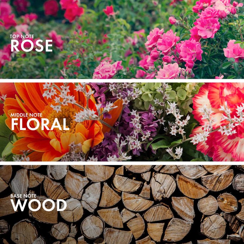 Woody Rose - Image 4