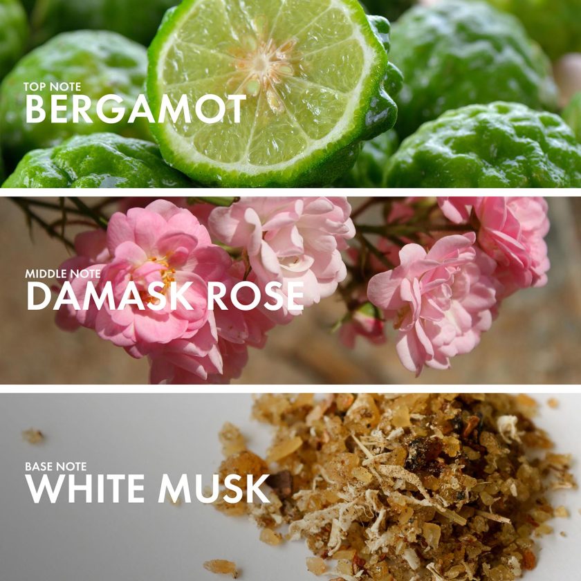 Floral Bergamot - Image 4