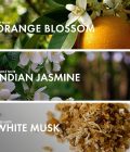 Floral Musk - Image 4