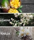 Fruity Jasmine - Image 4