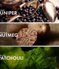 Juniper Nutmeg - Image 4