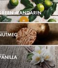 Mandarin Vanilla - Image 4