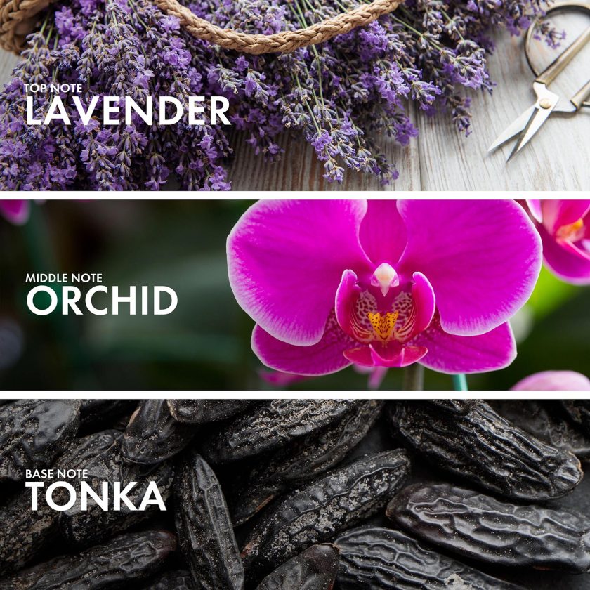 Orchid Lavender - Image 4