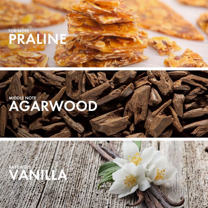 Praline Woody - Image 4