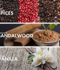 Vanilla Sandalwood - Image 4