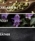 Cardamom Leather - Image 4