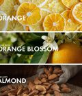 Orange Almond - Image 4