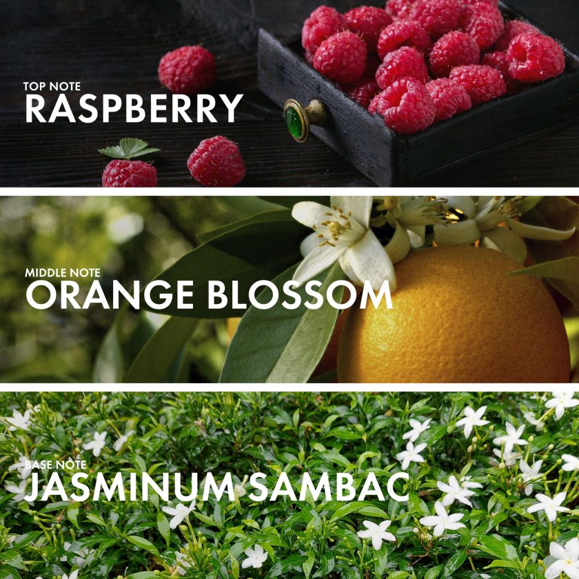 Raspberry Jasmine - Image 4