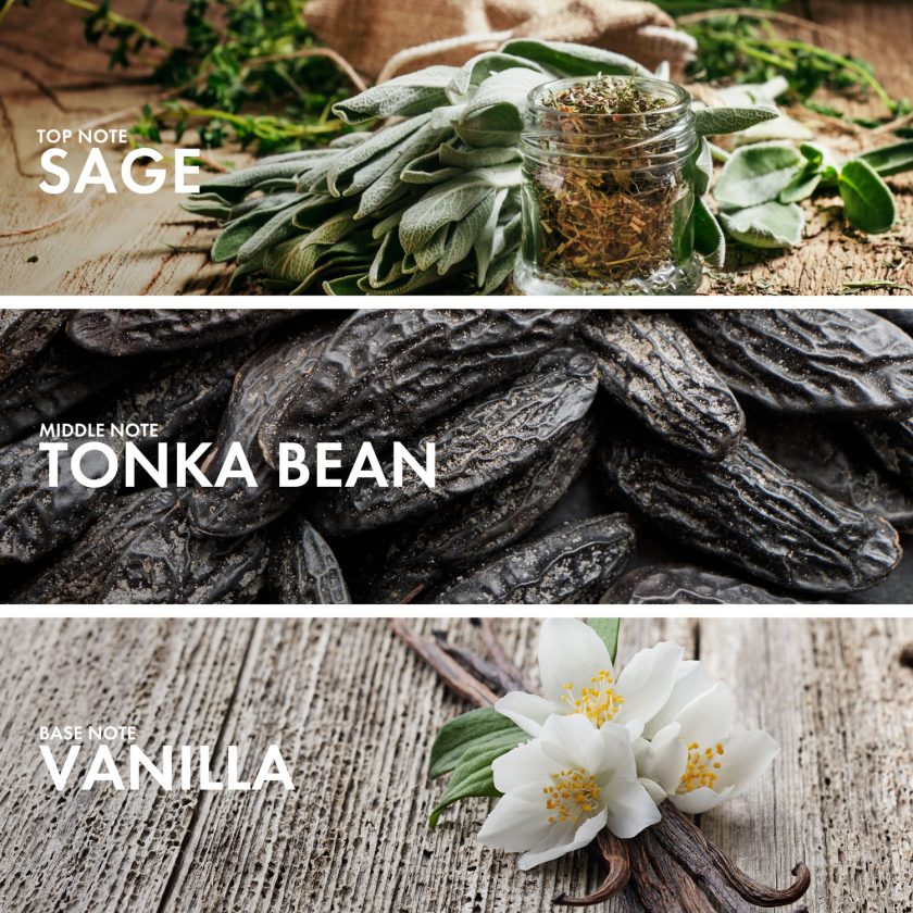 Sage Vanilla - Image 4