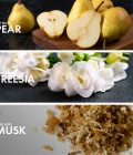 Pear Freesia - Image 4
