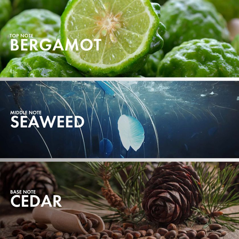 Aquatic Cedar - Image 4