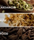 Cardamom Amber - Image 4