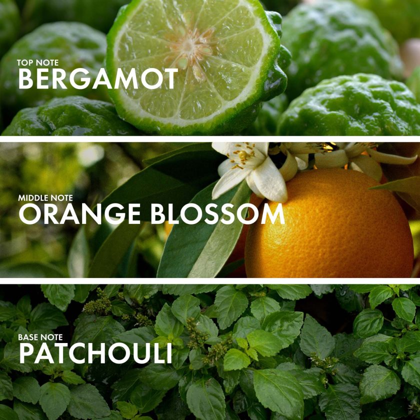 Citrus Orange Blossom - Image 4