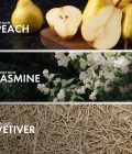 Peach Jasmine - Image 4