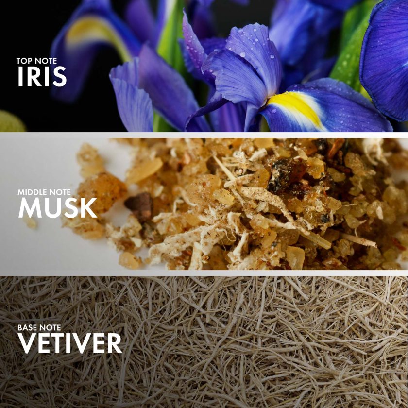 Powdery Vetiver - Image 4