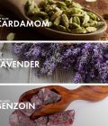 Spicy Benzoin - Image 4