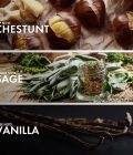 Spicy Chestnut - Image 4