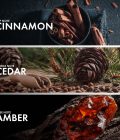 Cinnamon Amber - Image 4