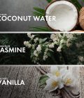 Coconut Vanilla - Image 4