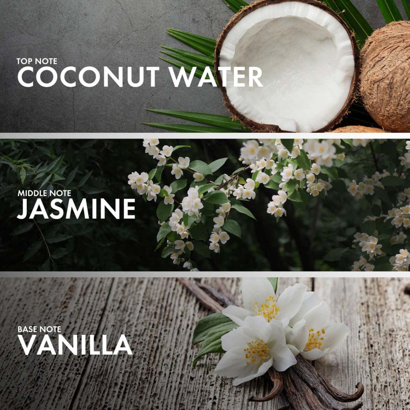 Coconut Vanilla - Image 4
