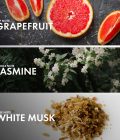 Jasmine Grapefruit - Image 4