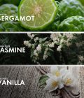 Jasmine Neroli - Image 4