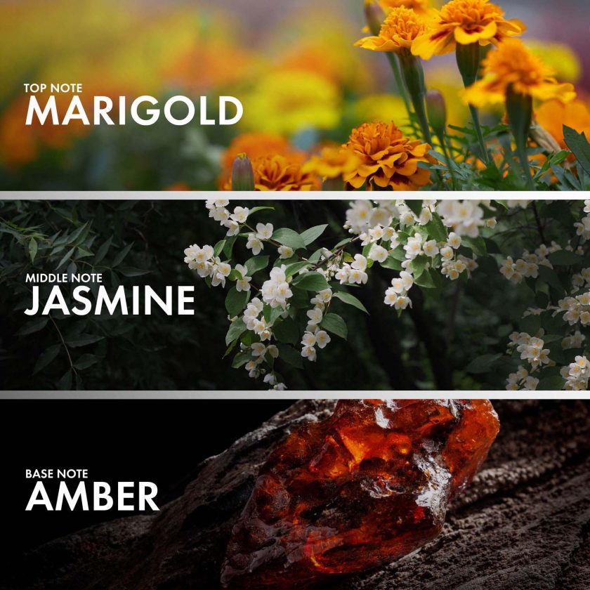 Marigold Jasmine - Image 4