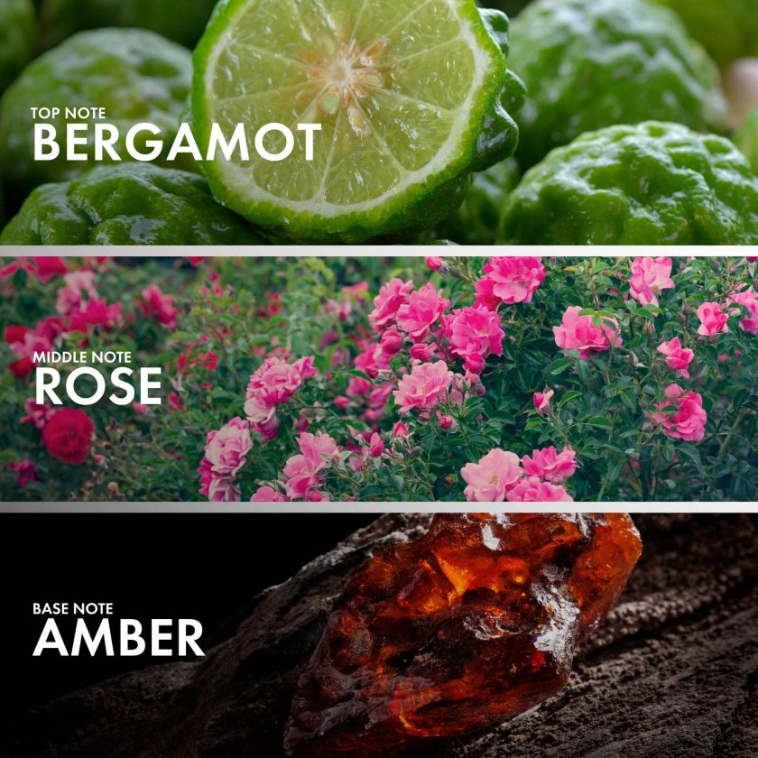 Rose Amber - Image 4