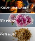 Rosy Peony - Image 4