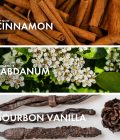 Cinnamon Musk - Image 4